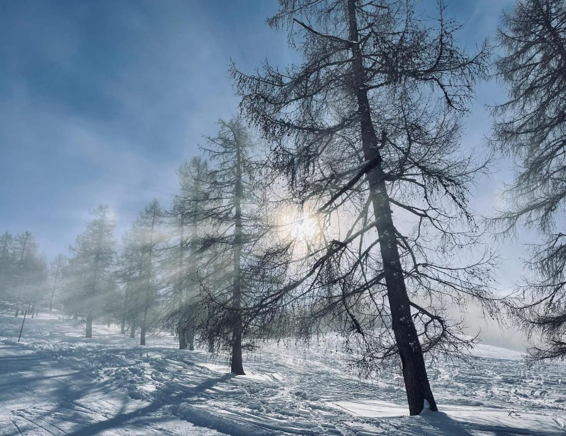 Alpenliebe Διαμέρισμα Bad Kleinkirchheim Εξωτερικό φωτογραφία